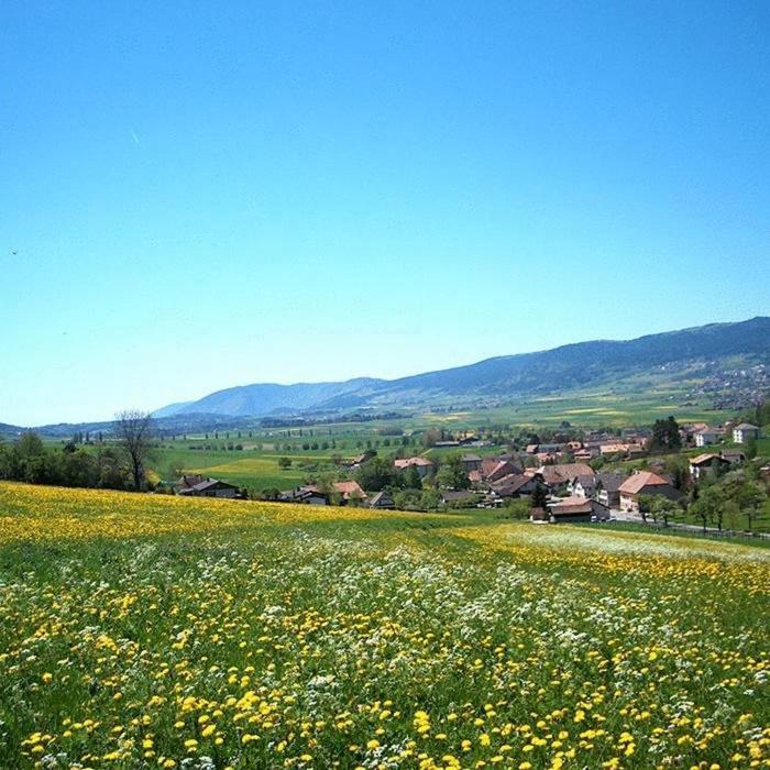 Hotel Du Val Cernier Luaran gambar